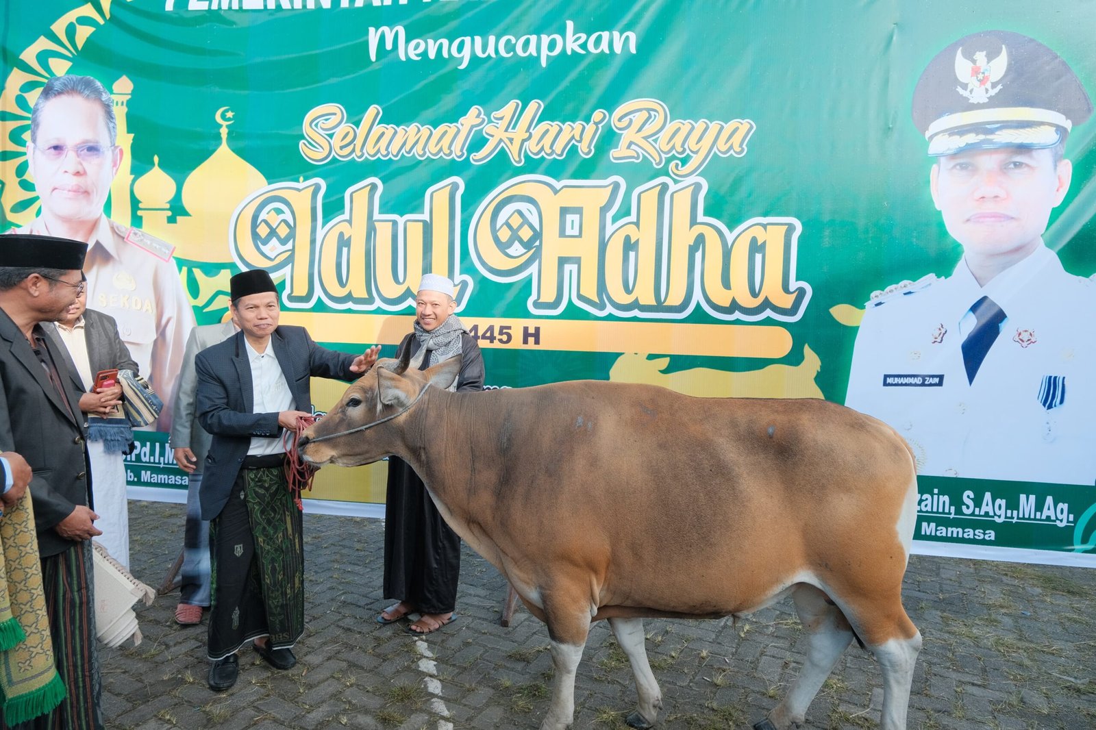 Serahkan Hewan Kurban Berupa Sapi Pj Bupati Mamasa Bukan Perihal